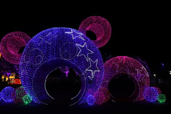 杭州江月园国际灯会