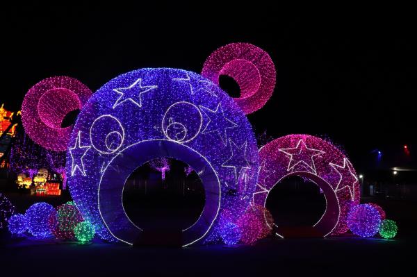 杭州江月园国际灯会