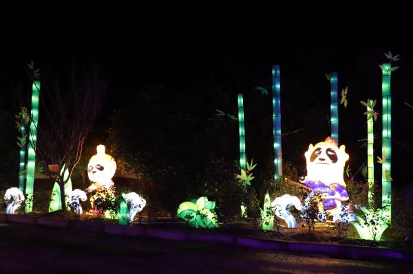 杭州江月园国际灯会