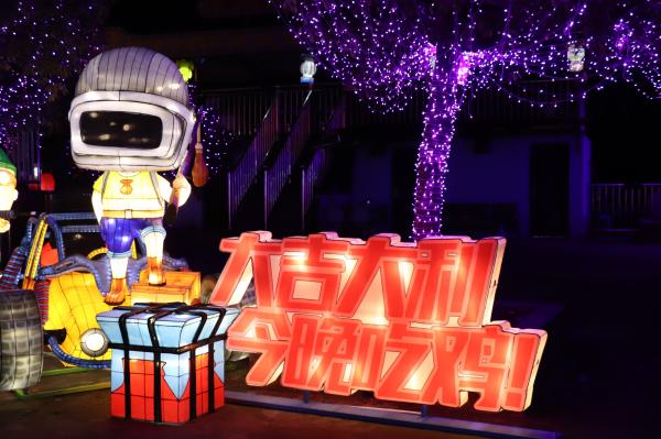 杭州江月园国际灯会