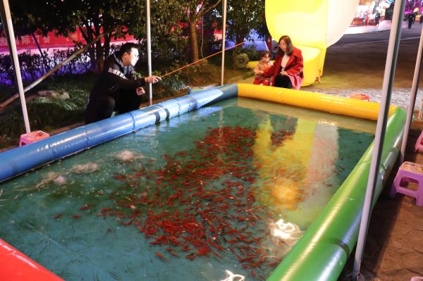 杭州江月园国际灯会