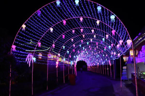 杭州江月园国际灯会