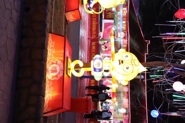 杭州江月园国际灯会