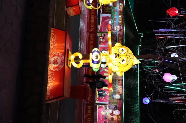 杭州江月园国际灯会