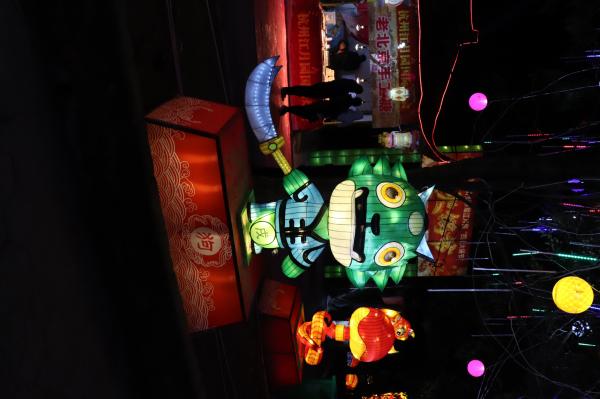 杭州江月园国际灯会