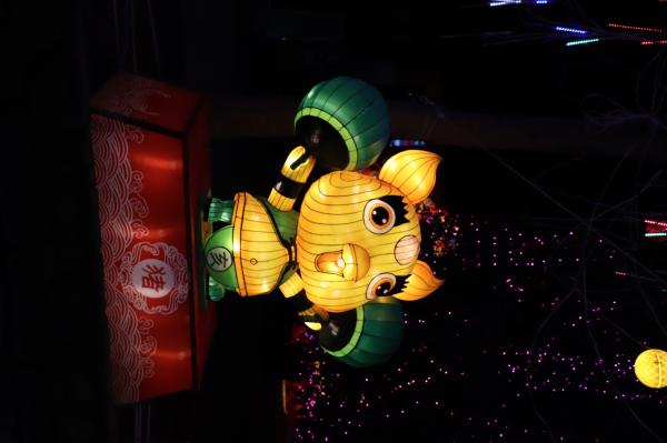 杭州江月园国际灯会