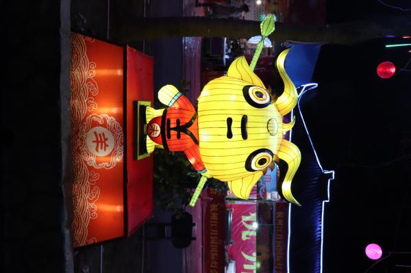 杭州江月园国际灯会