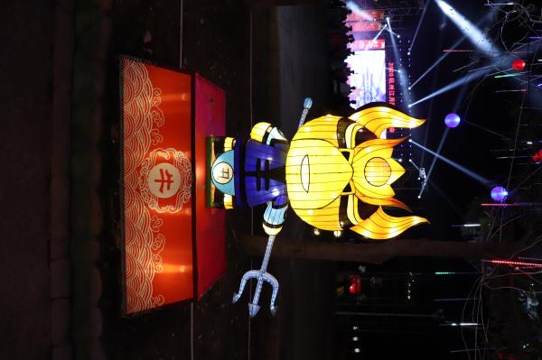 杭州江月园国际灯会