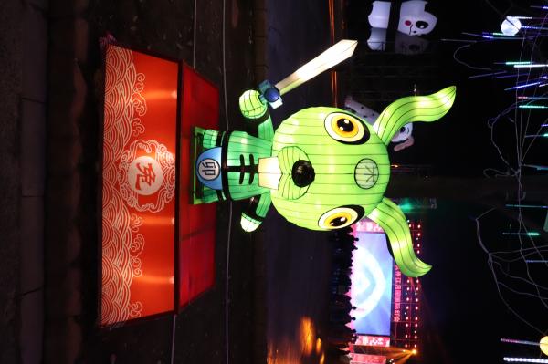 杭州江月园国际灯会