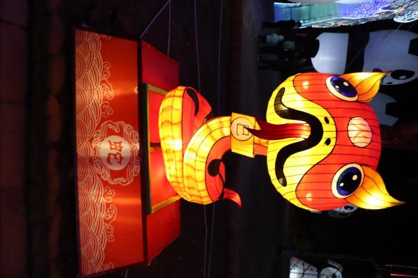 杭州江月园国际灯会