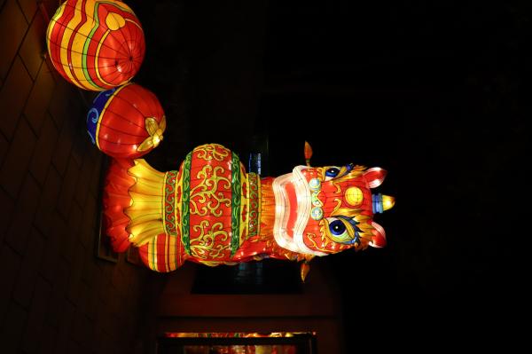 杭州江月园国际灯会