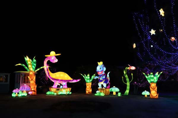 杭州江月园国际灯会