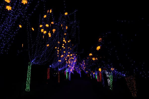 杭州江月园国际灯会