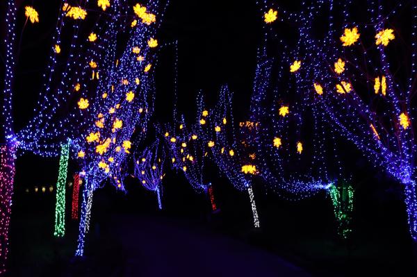 杭州江月园国际灯会