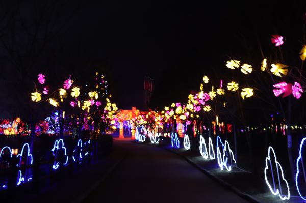 杭州江月园国际灯会