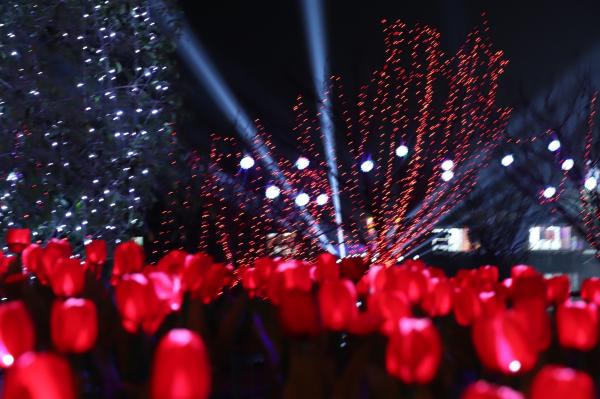 杭州江月园国际灯会