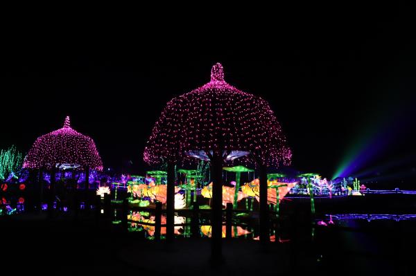 杭州江月园国际灯会