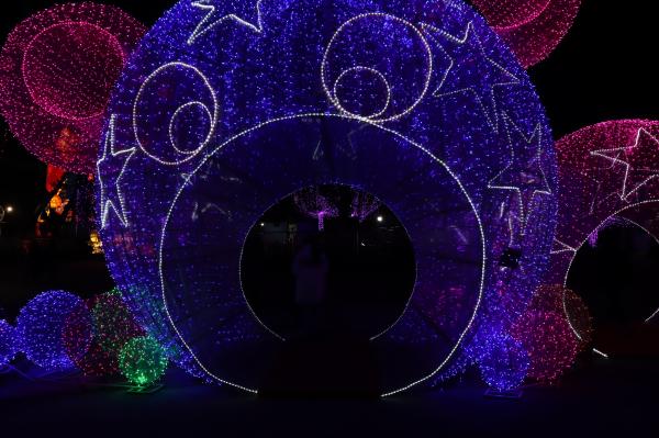 杭州江月园国际灯会