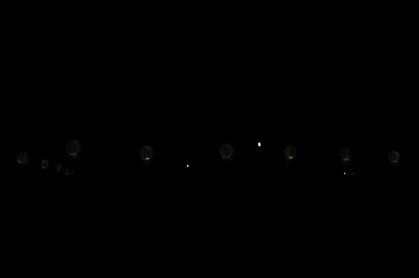 杭州江月园国际灯会