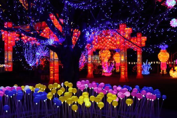 杭州江月园国际灯会