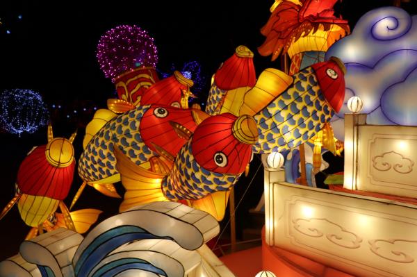 杭州江月园国际灯会