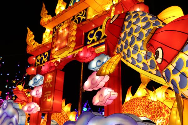 杭州江月园国际灯会