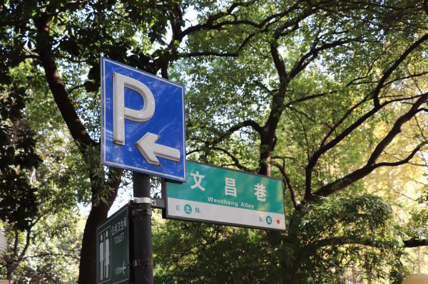 杭州朝晖公园银杏