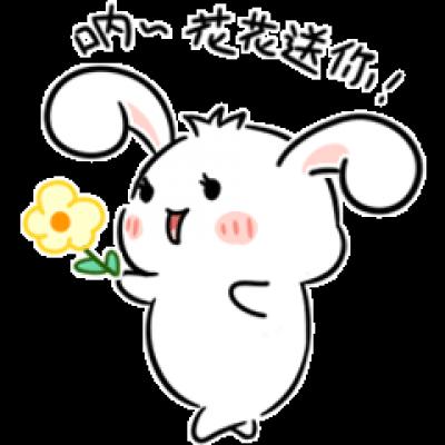 花花送你