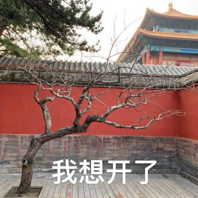 开了