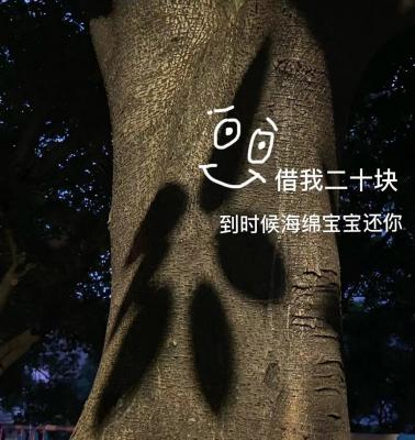 没钱