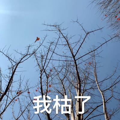 哭