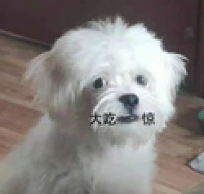 大吃一惊