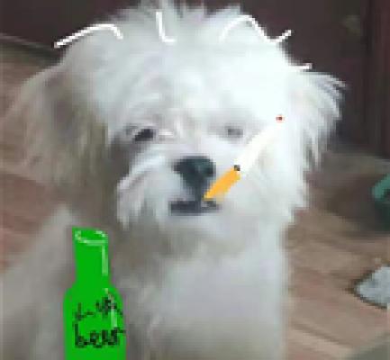忧愁