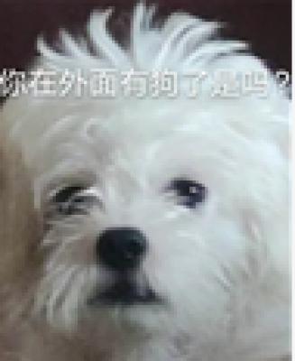 伤心