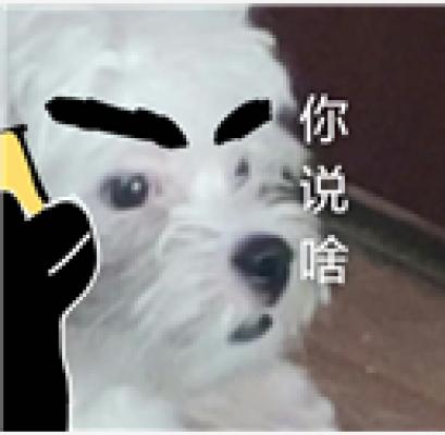 你说啥