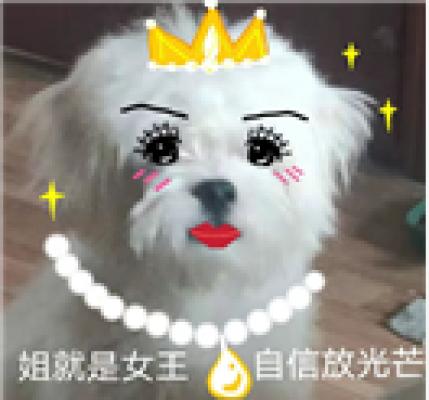 自信