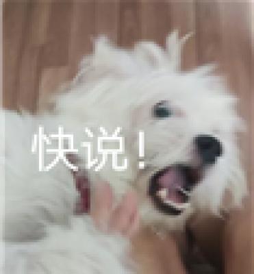 说