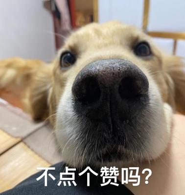 点赞