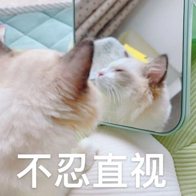 没眼看