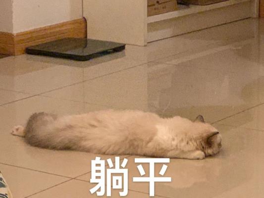 躺平