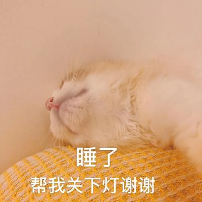 睡了