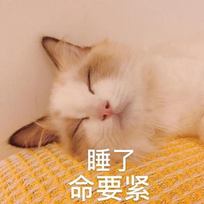 睡了
