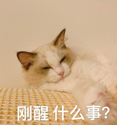 刚醒