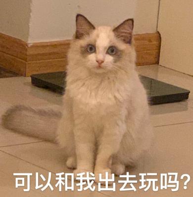 玩
