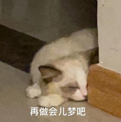 做梦