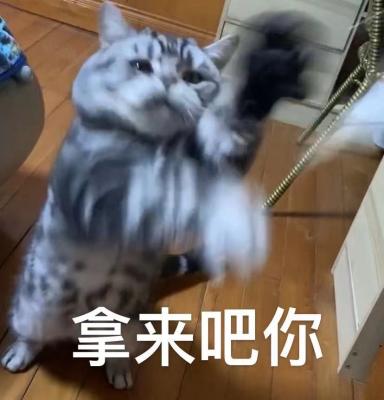 拿来吧你