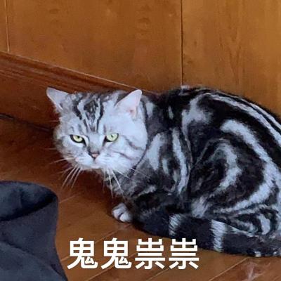 鬼鬼祟祟