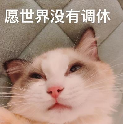 调休