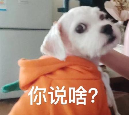 啊？