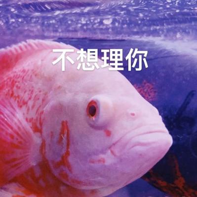 不想理你